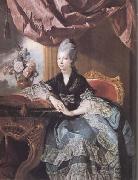 Johann Zoffany Queen Charlotte (mk25) oil on canvas